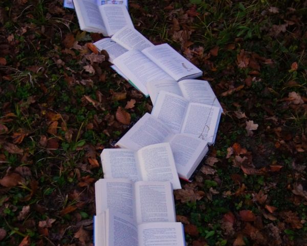 Services Copyediting