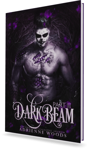 Book cover: Darkbeam Part II
