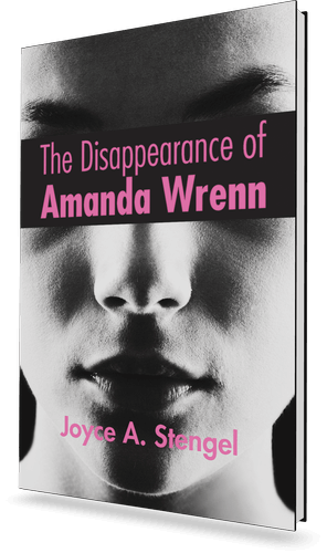 Book cover: The Disappearance of Amanda Wrenn